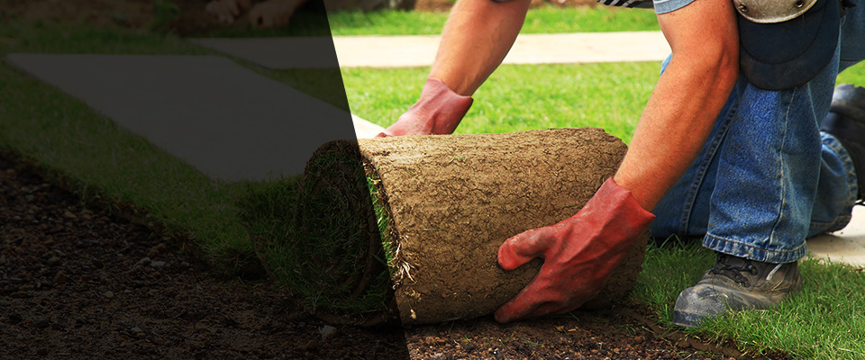 Lee Landscapers
